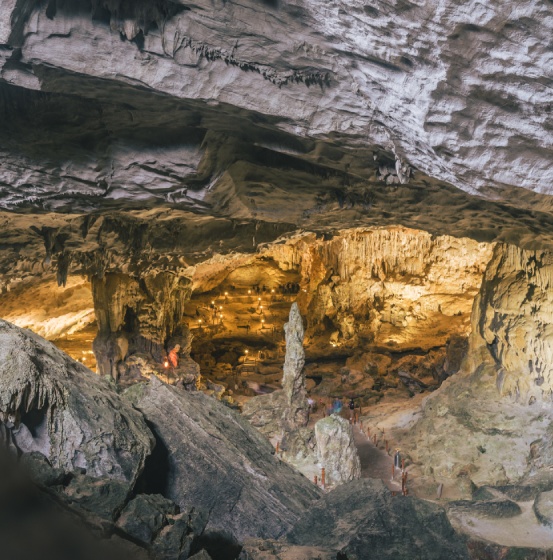 Seismic Exploration & Mining